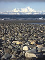 Beach Landscape