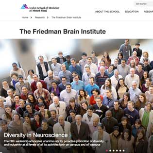 The Friedman Brain Institute